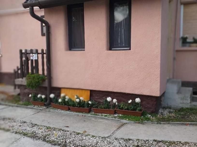 Pihenes A Malomtonal Privat Berlemeny Guest House Tapolca Exterior photo
